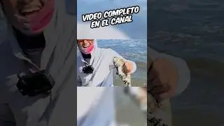 &iexcl;Gran pesca con un se&ntilde;uelo nuevo!