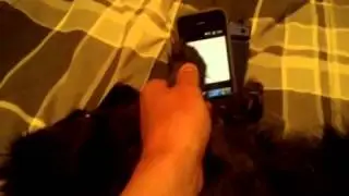 Dog features