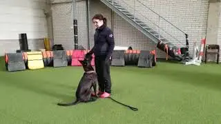 Luoksetulon eteenistumisen opetus 1