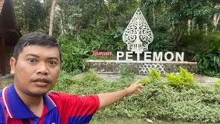 ANOMALI SUNGAI DI TAMAN PETEMON KELIR BANYUWANGI ‼️