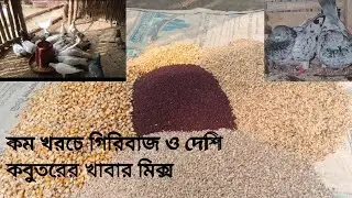 কম খরচে গিরিবাজ ও দেশি কবুতরের খাবার মিক্স
