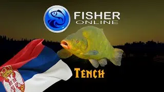 Fisher Online Daily -- TENCH -- Serbia r. Danube