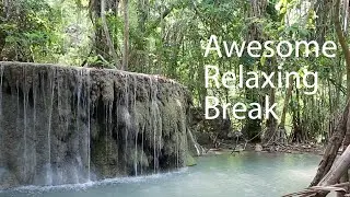 Forest Waterfall | Calming, Relaxing Small Waterfall in the Forest | Nature Sounds