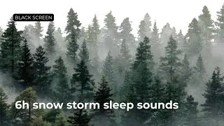 Soft Blizzard Sounds for Fall Asleep Fast | Black Screen | 6 Hours