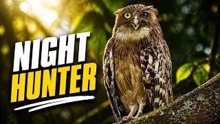 The Secret Life of the Brown Fish Owl