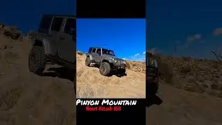 Pinyon Mountain Trail - Heart Attack Hill #SHORTS