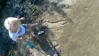 Wild exploring for fish in creek.  Baby catfish school, stranded fish and boys outdoor activities.