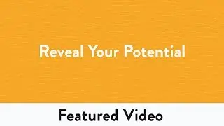 Reveal Your Potential with Actionable Insights