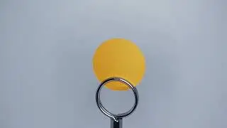 RL822 Opaque Mango Sequin Material