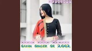 Sahin Singer Sr 2662