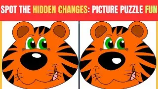 Spot The Difference | Spot the Hidden Changes | Picture Puzzle Fun | Find The Difference #19