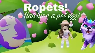 *HATCHING* A PET EGG IN (ROPETS)  🌈