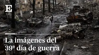 Ucrania | El mundo se horroriza por la masacre de Bucha | EL PAÍS