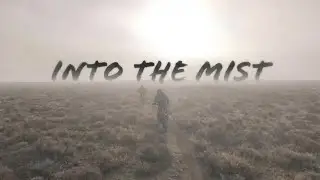 INTO THE MIST
