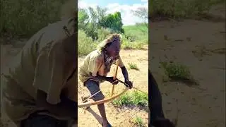 Wild Bush Tracking | Hadzabe Warrior Ends the Hunt Instantly.#shorts #africantribe #tending