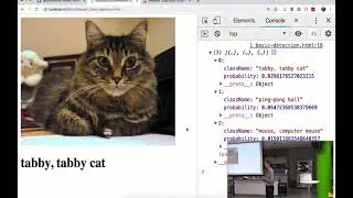 Machine learning in the browser - Richard Young