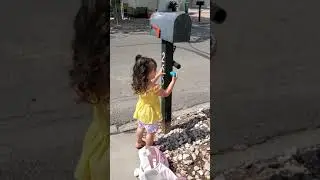 Egg hunt 2019