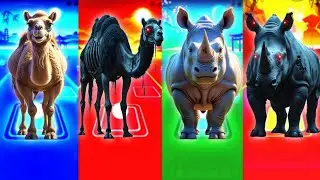Funny Camel🐪🆚Zombie Camel🐪🆚Funny Rhino🦏🆚Zombie Rhino🦏| Tiles Hop Animals Dance #tileshop #usa #trend