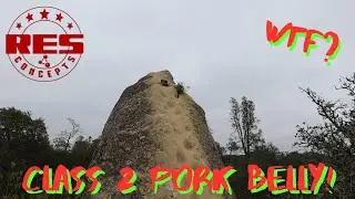 Class 2 Pork Belly Killing the Hwy 1 Line! *Hardbody Porkstar*