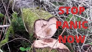 How to Stop Panic Attacks quickly and naturally