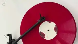 Lana Del Rey - Nathional Anthem (Vinyl Video)