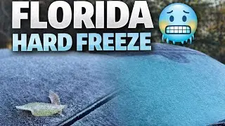 THIS IS FLORIDA?! 🧊FROZEN MORNIN 🥶