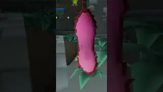 Fox Is Also A Fool (FlyKnight Edition)