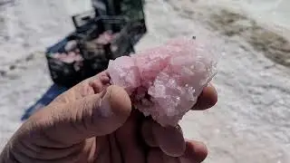 SWEET JIM DIGGING THE SALT FINDING PINK HALITE CRYSTALS