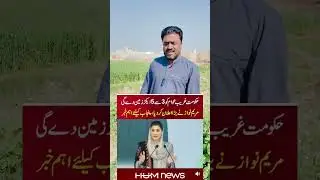Good step of Maryam Nawaz sharif #zaheerlashari #maryamnawaz