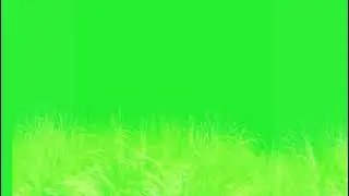 🌱amazing plants animation green screen🟢 videos🎥