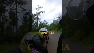 Trend Ophelia sebelum Sumatera banjir. Lekas sembuh Sumatera. #krui #touring #motovlog #lampung