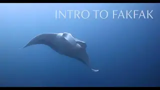 Intro to Fakfak