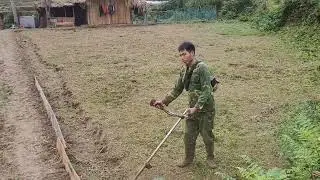 My uncle went into the forest to cut bamboo to make a fence and clear the field.