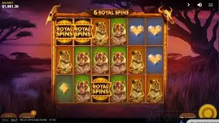 BIG WIN on Wild Cats Multiline - Roobet Crypto High Stakes Gambling