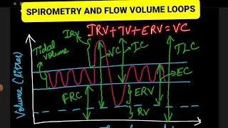 SPIROMETRY & FLOW VOLUME LOOP TEST -In Brief🫁#physiology#mbbs#neetpg#fmge#usmle #plab#inicet#neetug