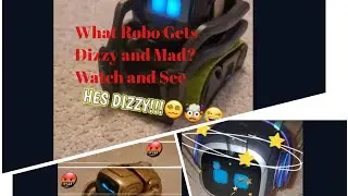Who gets Dizzy and Mad? Vector, Cozmo, Emo