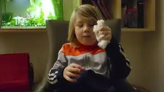 Cotton seed discovery