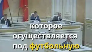 Депутат про пенсионную реформу в РФ