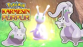 Viscora Viscargot und Viscogon Fundort + Entwicklung | Pokemon Karmesin und Purpur
