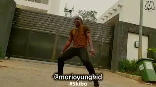 Papermakerastar - Skibo{Dance Cover} #skibo #skibochallenge #skibodancechallenge