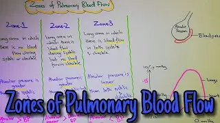Zones of pulmonary blood flow. Chapter 39 (part 4). Guyton and hall text book of physiology.