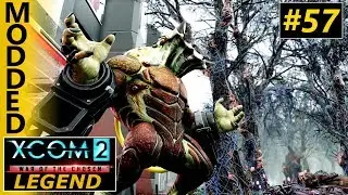 XCOM 2 WOTC Legend MODDED #57 Berserker Queen B1tch Slap Operation War Wheel
