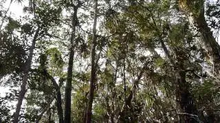 Abel Tasman Track 1