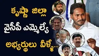 వైసీపీ కృష్ణా జిల్లా అభ్యర్థులు వీళ్ళే..! Krishna District YCP MLA Candidates for AP Elections 2019