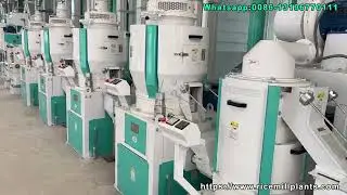 200T/D Rice Milling Plant | Complete Paddy-to-Packaged Rice System #ricemillplant