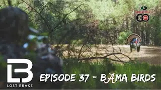 Turkey Hunting the Alabama Opener - Epic - 37 - Bama Birds