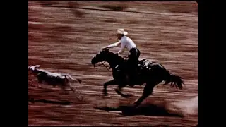 The American Cowboy (1950)
