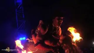 Firegroove @ Lightining in a Bottle 2010 (teaser)