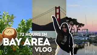 bay area vlog🍊: solo day in san francisco, In-N-Out secret menu, visiting family | letitia's 2025
