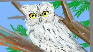 Pallid scops owl 창백한소쩍새 그리기